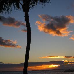 Hotchoctietz's profile picture. Mom,teacher,chocolate lover,avid reader