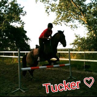 Prinsentuin#15jaar#houvanmeliefstepaardjes#loveeemeeboy