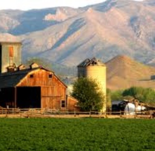 Farm living, beer drinking, diesel truck, small town person.