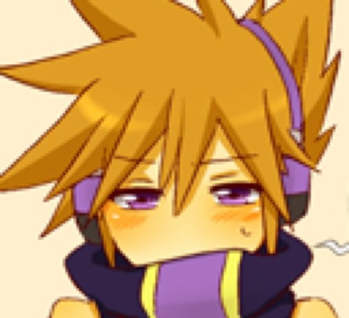 Married to @RoxasLovesNeku ...I love him with all my heart.. Touch him and get hurt.. And yes I have a tail.. Shut up*~*