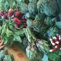 Lucy Munger (@lucymunger) 's Twitter Profile Photo