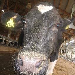 matthewperrett's profile picture. 