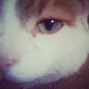 Lisa Wheeldon - @LisaJW3 - Twitter