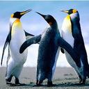 becky briggs - @beckybriggs17 - Twitter