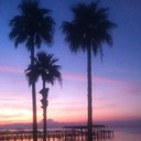 Carol Penn - @penn_carol - Twitter