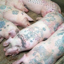 Yelrahc_Chauvin's profile picture. 