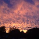 Janette Chapman - @Janette167 - Twitter