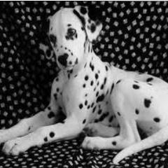 Enjoylifeshow's profile picture. ENJOY LIFE , IT'S JUST ONE! :)