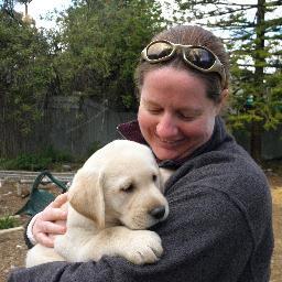 AshleyHowland's profile picture. Published author:https://t.co/JRX6ccBEXY 
Love writing, labradors, kids and sport.