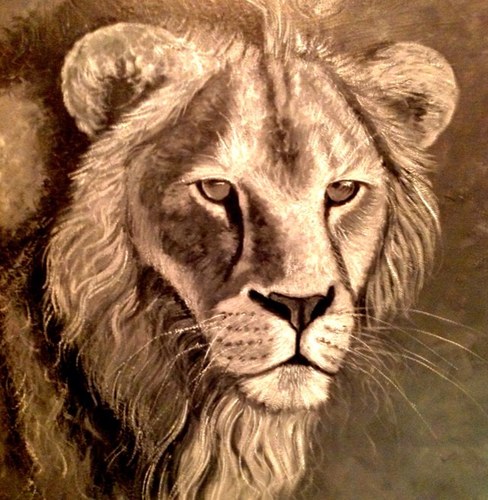 Arabinizer's profile picture. 