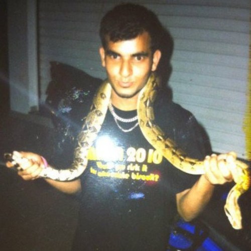 ShishaFein's profile picture. Graduate in Information Systems - Brunel 2012!