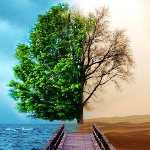 Nature is our actual living place
