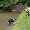 carol burt - @insaneteabag - Twitter