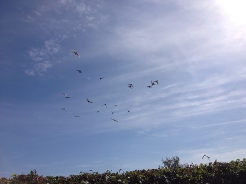 BasDuivensport's profile picture. 