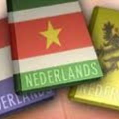 Heerlijke moeders pot uit de Surinaams-Nederlandse keuken. We maken dagelijkse verse gerechten  met groentes en sauzen.