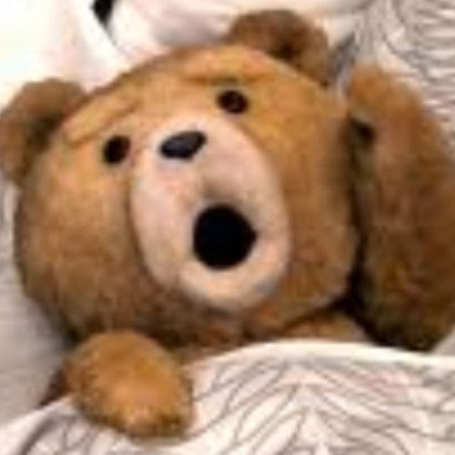 The funny side of life #teamfollowback