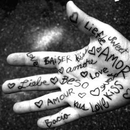 wassif007's profile picture. 