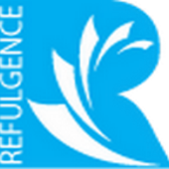 RefulgenceIncSG's profile picture. We offer unique products and IT services.🤝