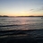 10flower_com's profile image