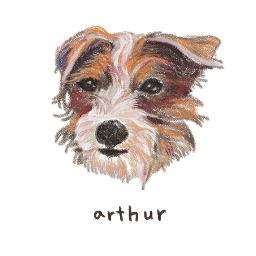 no1arthur's profile picture. 동물을 사랑하는 나는야 노력가
