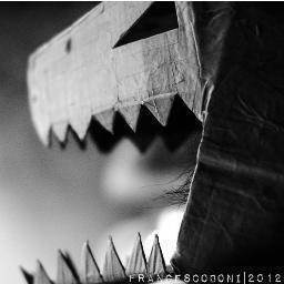 IDINOSAURI1's profile picture. I D I N O S A U R I
G A R A G E N O I S E 
D U O 
E M A I L : idinosaurigarage@gmail.com
B A N D C A M P : http://t.co/21n6H7Ww
F B : http://t.co/rFITYcBL