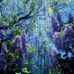 MarshallBettye's profile picture. We hardly ever realize that we can cut anything out of our lives,anytime, in the blink of an eye.- Carlos Castaneda