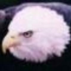 American. Constitutionalist. Christian!