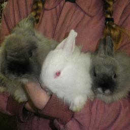 Jwoolyaddict's profile picture. 