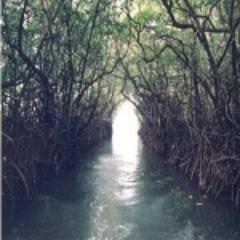 BritThompson1's profile picture. Abandon all desires, keep your mind silent and you shall discover.-Sri Nisargadatta