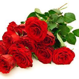 MariaRosaliaRP's profile picture. 