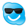 Certified Dynamics NAV, Accountant, ERP PM/Consultant, Travel