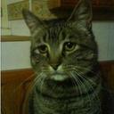 Доброкот - @Jane_Friday - Twitter