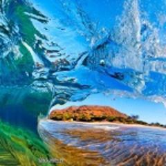 Brown7Elisabeth's profile picture. If human beings were shown what they're really like, they'd either kill one another as vermin, or hang themselves.-Aldous Huxley