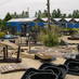 Henley Water Gardens (@thepondcentre) Twitter profile photo Henley Water Gardens (@thepondcentre) Twitter profile photo