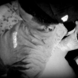 In the Disipho maclet-con BRAYAN inbolucrao