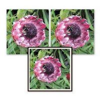 Left Right & Centre (@helen_lrc) 's Twitter Profile Photo