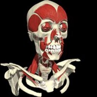 paddockgossip (@paddockgossip) 's Twitter Profile