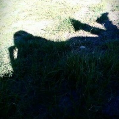 lentedevries's profile image