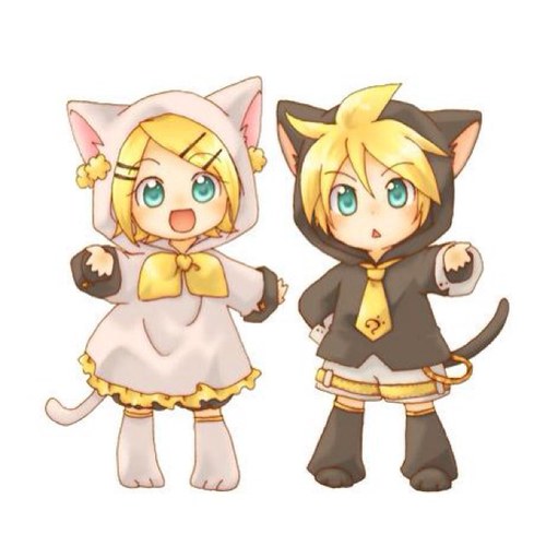 もとちかさんのプロフィール画像