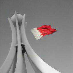 alisayed80's profile picture. 