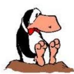 ctaylor64's profile picture. college learning specialist, women's health advocate, wife, mom of 3 teens,  daughter of 2 teachers, knitter, & FB addict #wiunion