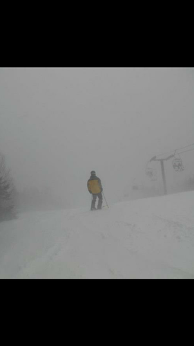 BigGains26's profile picture. Motivated. Entrepreneur. Sports Junkie. Biotech Trader. My thoughts are opinions only