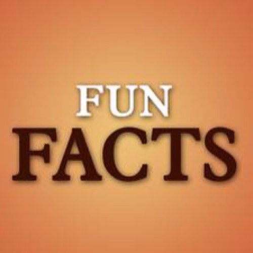 Tweeting crazy and fun facts all day! 

Buisness: funfactsbuisness@gmail.com