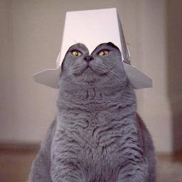 mehhh