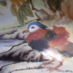 Donna M (@doodlesbird) Twitter profile photo Donna M (@doodlesbird) Twitter profile photo