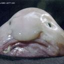 Josh Mather - @matherman - Twitter