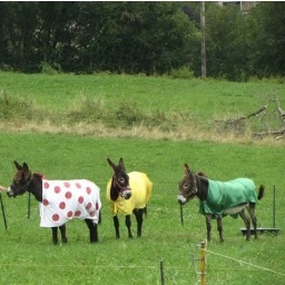 townnotacity's profile picture. 