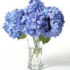 BethVM's profile picture. 