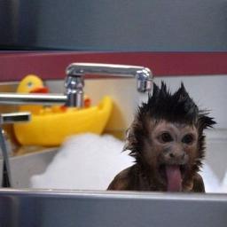 Mailogreen's profile picture. 'Y al fin y al cabo somos lo que hacemos para cambiar lo que somos.'