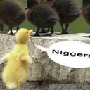 Taylor Bender - @iloveharry54247 - Twitter